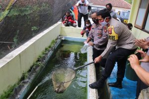 Kembangkan Program Budidaya Ikan Lele, Kangkung Dan Tumbuhan Hidroponik, Polres Majalengka Bagikan Hasil Pangan Kepada Warga Dampak Covid-19