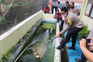 Kabid Humas Polda Jabar : Kembangkan Program Budidaya Ikan Lele, Kangkung dan Tumbuhan Hidroponik, Polres Majalengka Bagikan Hasil Pangan Kepada Warga Terdampak Covid-19