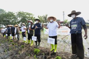 Dengan IP 400, Produksi Beras di Kota Bandung Bisa Meningkat Dua Kali Lipat