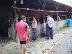 Polsek Palasah Lakukan Patroli Cek Hewan Ternak Masyarakat Cegah Penyakit PMK