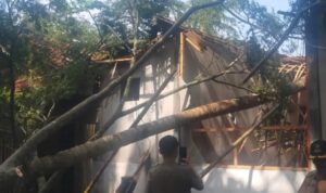 Kabupaten Cilacap Dilanda Angin Ribut, Akibatkan Ratusan Rumah Rusak