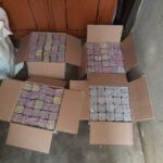 Edarkan Petasan, Seorang Pemuda Diamankan Petugas Polsek Grogol