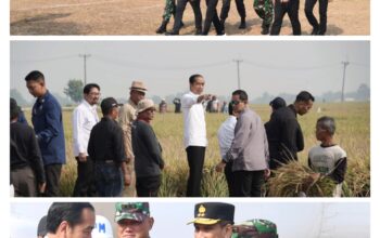 Kunjungan Kerja Presiden RI Ir. H. Joko Widodo dalam Agenda Panen Raya di wilayah kecamatan Ciasem Subang