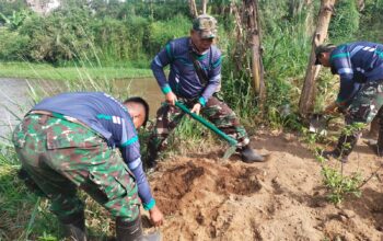 Satgas Citarum Harum Sektor 2 Sub 1 Melaksanakan Penanaman Pohon Keras dan Buah buahan di Bantaran Sungai Citarum