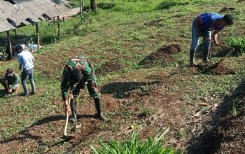 Sektor 2 Sub 3 Tanam Pohon Untuk Menjaga Kelestarian Alam