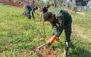 Sektor – 2 Satgas Citarum Sub – 2 Resmi Tinggal Laksanakan Patroli dan Perawatan Pohon di Wilayah Petak 62