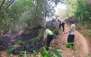 Akibat Puntung Rokok Satu Hektar Lahan Bambu Ludes Terbakar