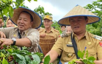 Ketua DPC LSM Trinusa Lampung Barat, Dukung Penuh Program Pemerintah Daerah Menuju Lampung Barat Hebat