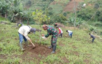 Reaksi Sektor 2 Citarum Harum Subsektor 1 Memastikan Penanganan Lahan Kritis Terus Berjalan