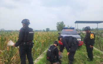 Penemuan Mortir di Sawah, Polsek Kembaran Banyumas Panggil Gegana Brimob Untuk Evakuasi