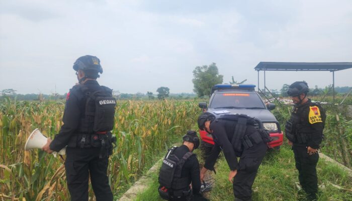 Penemuan Mortir di Sawah, Polsek Kembaran Banyumas Panggil Gegana Brimob Untuk Evakuasi
