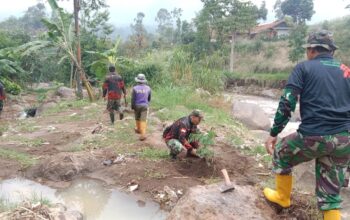 Perindah Bantaran Sungai Sektor 2 Citarum Harum Menanam Pohon Kalindri