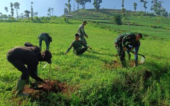 Tupoksi Satgas Citarum Harum Sektor 2 Sub 6 Melaksanakan Program Rencana Aksi Perbaikan Lahan Kritis Petak 59