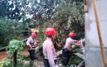 Peduli Bencana, Personel Dit Samapta Polda Jabar Bantu Evakuasi Pasca Angin Puting Beliung di Rancaekek