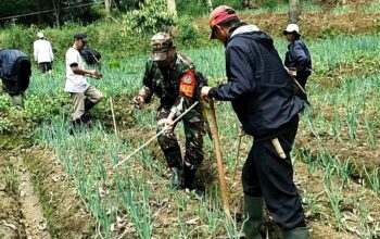 Sub-1 Desa Sukapura Sektor 2 Satgas Citarum Harum Melaksanakan Edukasi Kepada Warga Poktan Di Petak-60 Hulu Citarum