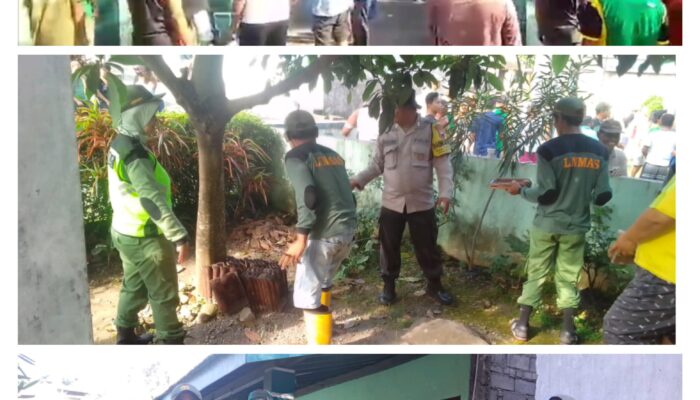 Dibawah Bimbingan Bhabinkamtibmas dan Babinsa, Satlinmas Desa Pagersari Patut Dijadikan Teladan, Kebersamaan dan Dedikasi yang Tinggi Bagi Lingkungan Sekitar