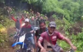 Kehilangan Jejak Tim pencari Harimau, Harus banyak Jebakan Agar Hewan Liar Itu Dapat Ditangkap