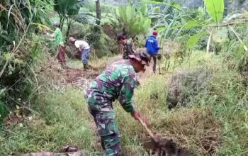 Satgas Citarum Harum Sektor 2 Subsektor 3 Melaksanakan Patroli dan Penjangeran Serta Pemberian Pupuk Formula BIOS 44 DC di Lahan Kritis