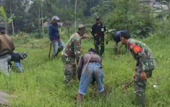Satgas Citarum Harum Sektor 2 Melalui Subsektor 4 Laksanakan Giat Penanaman Pohon di DAS Citarum