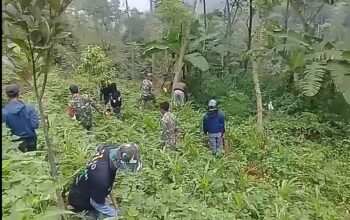 Sektor 2 Subsektor 5 Desa Cikitu Melaksanakan Patroli dan Perawatan Tanaman di Petak 59 Desa Sukarame