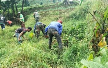 Aksi Sub 1 Sektor 2 Citarum Harum Dalam Penanganan Lahan Kritis Dipastikan Mencapai Progres