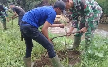Sektor 2 Subsektor 5 Melaksanakan Penanaman Bibit Pohon di Wilayah Desa Cikitu Untuk Mencegah Erosi dan Longsor