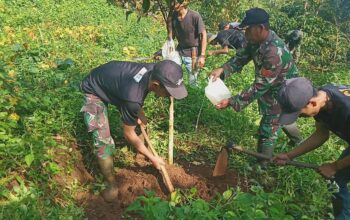 Sektor 2 Satgas Citarum Harum Subsektor 4 Laksanakan Giat Patroli, Penjangeran, dan Pemupukan Formula BIOS 44 DC di Petak 59