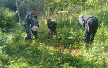 Sektor 2 Citarum Harum Subsektor 5 Laksanakan Patroli dan Perawatan Tanaman di Petak 60 Desa Sukapura