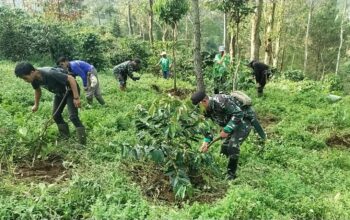 Satgas Sektor 2 Citarum Harum Sub 1 Menanam Pohon di Lahan Kritis Untuk Menghasilkan Oksigen Bagi Kehidupan