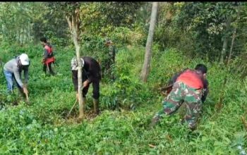 Sektor 2 Citarum Harum Melalui Sub 2 Laksanakan Patroli dan Penjangeran di Lahan Kritis Petak.62