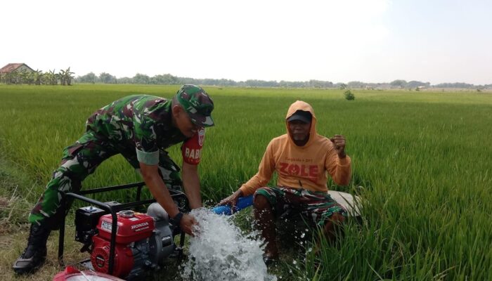 Wujudkan Ketahanan Pangan, Babinsa Dampingi Petani Lakukan Program Pompanisasi