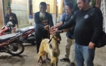 Wujud Kepedulian, Polres Kendal Berikan Bantuan Hewan Qurban Kepada Ponpes Abu Bakar Weleri