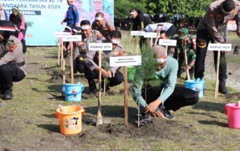 Jelang Hut Bhayangkara ke 78 Polres Kendal Tanam 1000 Pohon Mangrove dan Cemara Laut