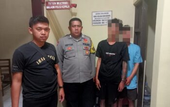 Polsek Cibiuk Amankan 2 Orang Pelaku Pencurian Cabe