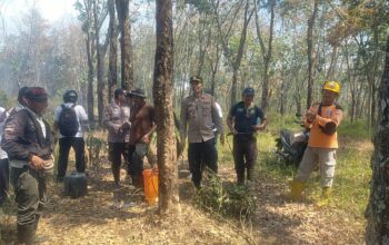 Sigap, Dengan Alat Seadanya, Polisi Bantu Padamkan Lahan Perkebunan PTPN IX Kedawung Sragen Yang Terbakar