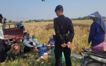 Sat Brimob Polda Jabar Cek Langsung Lokasi Ketahanan Pangan Di Desa Winong