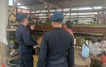 Sat Brimob Polda Jabar Patroli Harkamtibmas Antisipasi Pencurian Hewan Ternak 