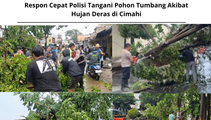 Respon Cepat Polisi Tangani Pohon Tumbang Akibat Hujan Deras di Cimahi