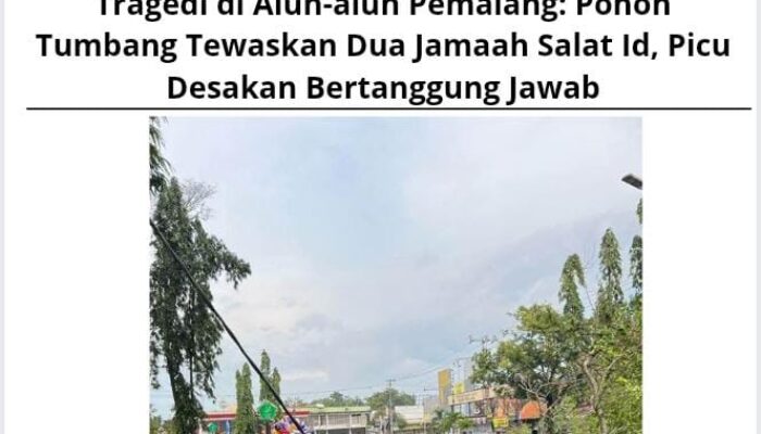 Tragedi di Alun-alun Pemalang: Pohon Tumbang Tewaskan Tiga Jamaah Shalat Id, Siapa Bertanggung Jawab?