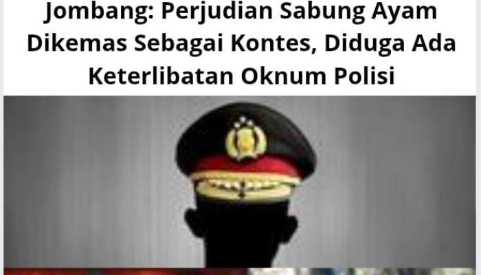 Jombang: Perjudian Sabung Ayam Dikemas Sebagai Kontes, Diduga Ada Keterlibatan Oknum Polisi