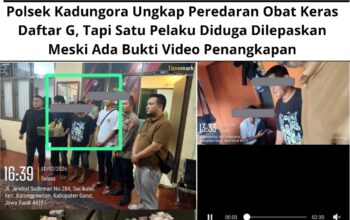 Polsek Kadungora Ungkap Peredaran Obat Keras Daftar G, Tapi Satu Pelaku Diduga Dilepaskan Meski Ada Bukti Video Penangkapan