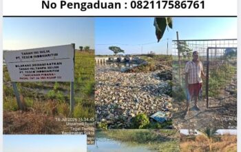 Kondisi Terkini Lahan Terisolir Akibat PT Tesco Indomaritim, Warga Tegal Taman Indramayu Menjerit Minta Keadilan, Lucky Hakim Omon Omon? Ombudsman Jabar Kemana?