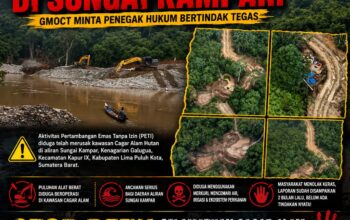 Tambang Emas Ilegal Merambah Cagar Alam di Sungai Kampar, GMOCT Minta Penegak Hukum Bertindak Tegas