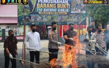 Musnahkan 110 Batang Ganja, Kapolres Aceh Selatan Tegaskan Komitmen Penuh Berantas Narkotika