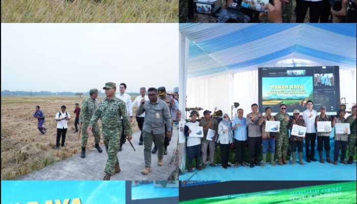 Panen Raya TNI di Sumedang, Perkuat Sinergi Wujudkan Ketahanan Pangan Nasional