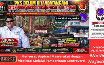 PKS Belum Tandatangan, Getah Pinus TNGC Sudah Mengalir ke PT EMB Pekalongan — APH, Kejaksaan & Gakkum Diminta Bongkar Rantai Pasok