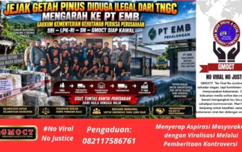 Jejak Getah Pinus Diduga Ilegal dari TNGC Mengarah ke PT EMB — Gakkum Kementerian Kehutanan Lakukan Pemeriksaan, SBI–LPK-RI–SN–GMOCT Siap Kawal