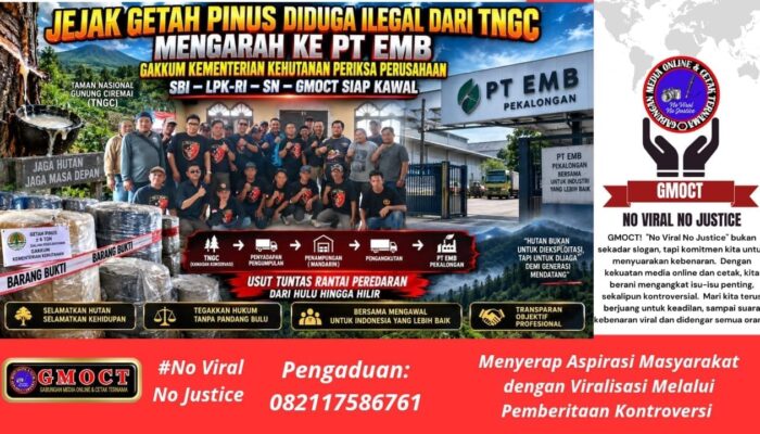 Jejak Getah Pinus Diduga Ilegal dari TNGC Mengarah ke PT EMB — Gakkum Kementerian Kehutanan Lakukan Pemeriksaan, SBI–LPK-RI–SN–GMOCT Siap Kawal