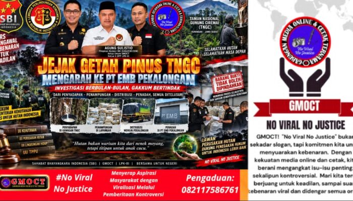 Jejak Getah Pinus TNGC Mengarah ke PT EMB — Gakkum Periksa Pemilik & Karyawan, Agung Tekan: Kawal Sampai Terang-Benderang!