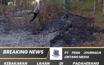 Kebakaran Lahan di Padaherang Pangandaran, 1,5 Hektare Perkebunan Hangus Terbakar